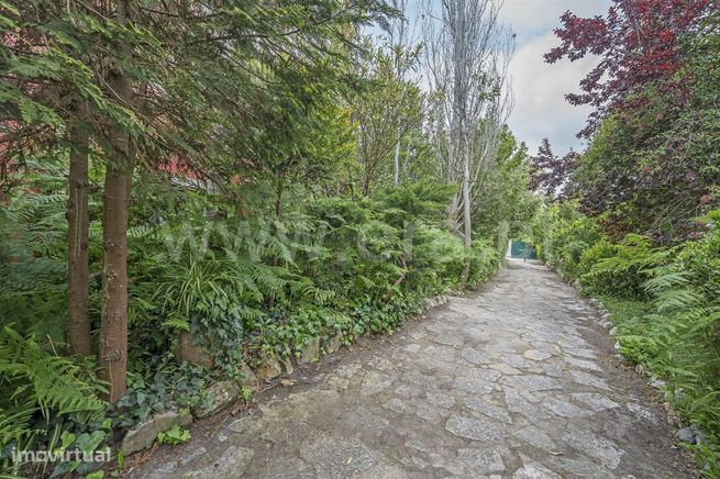 Quinta com área total de 5000m2;  Verdizela-19