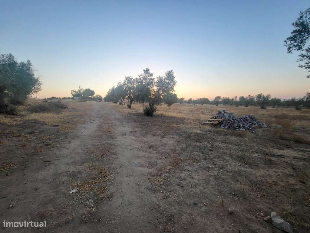 Quintinha com 26.000 m2 - Grande imagem: 4/18