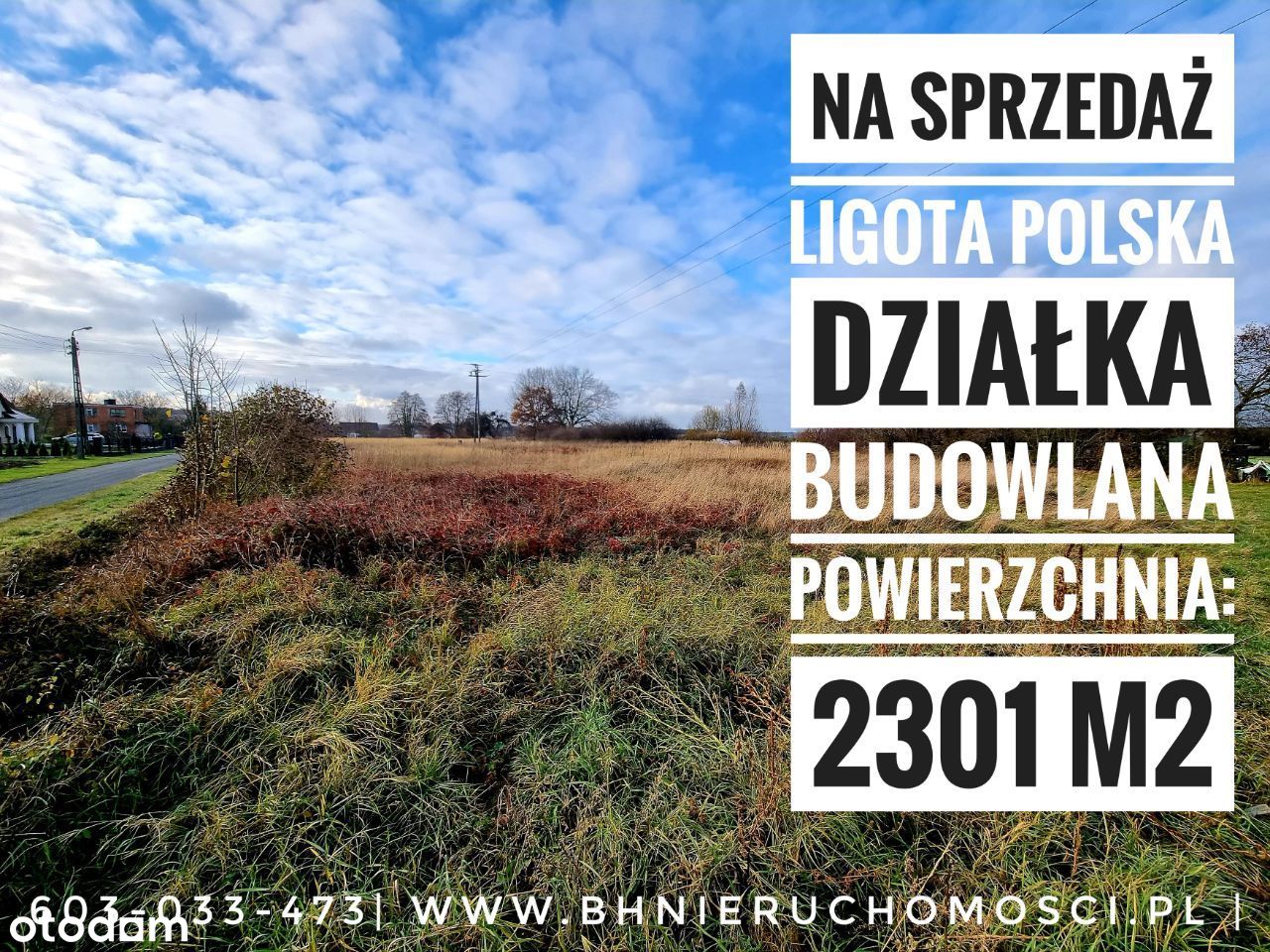 10 km od Oleśnica i 30 km Wrocław I Ligota Polska