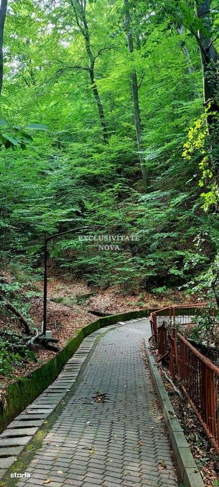 0% Vanzare teren si constructie Locatie de exceptie Calimanesti Calea-7