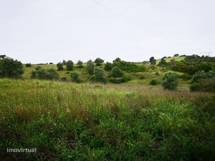 Terreno 57ha Santarém - Grande imagem: 3/11