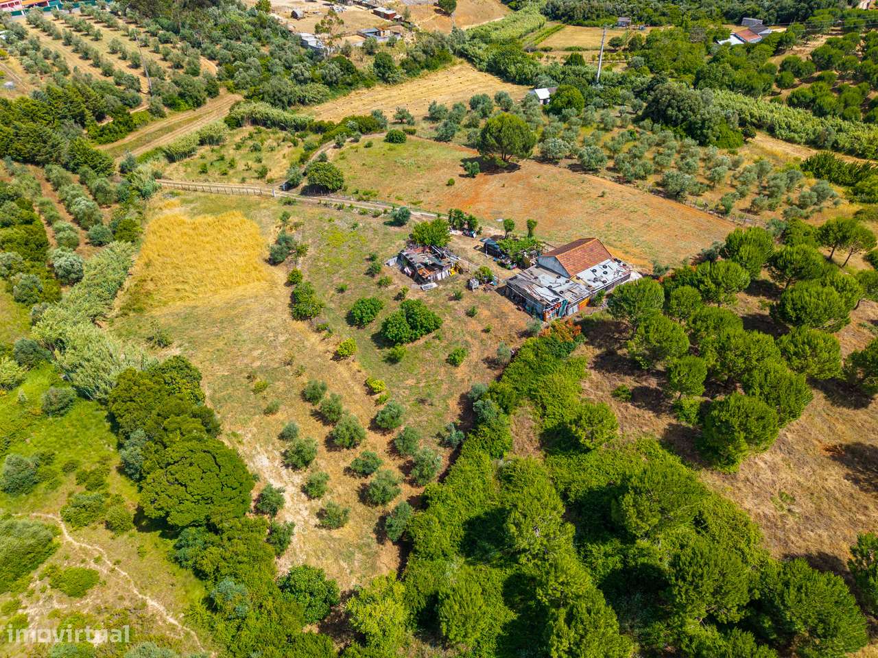 Apresento terreno agrícola com apoio habitacional T2 no Cartaxo-28
