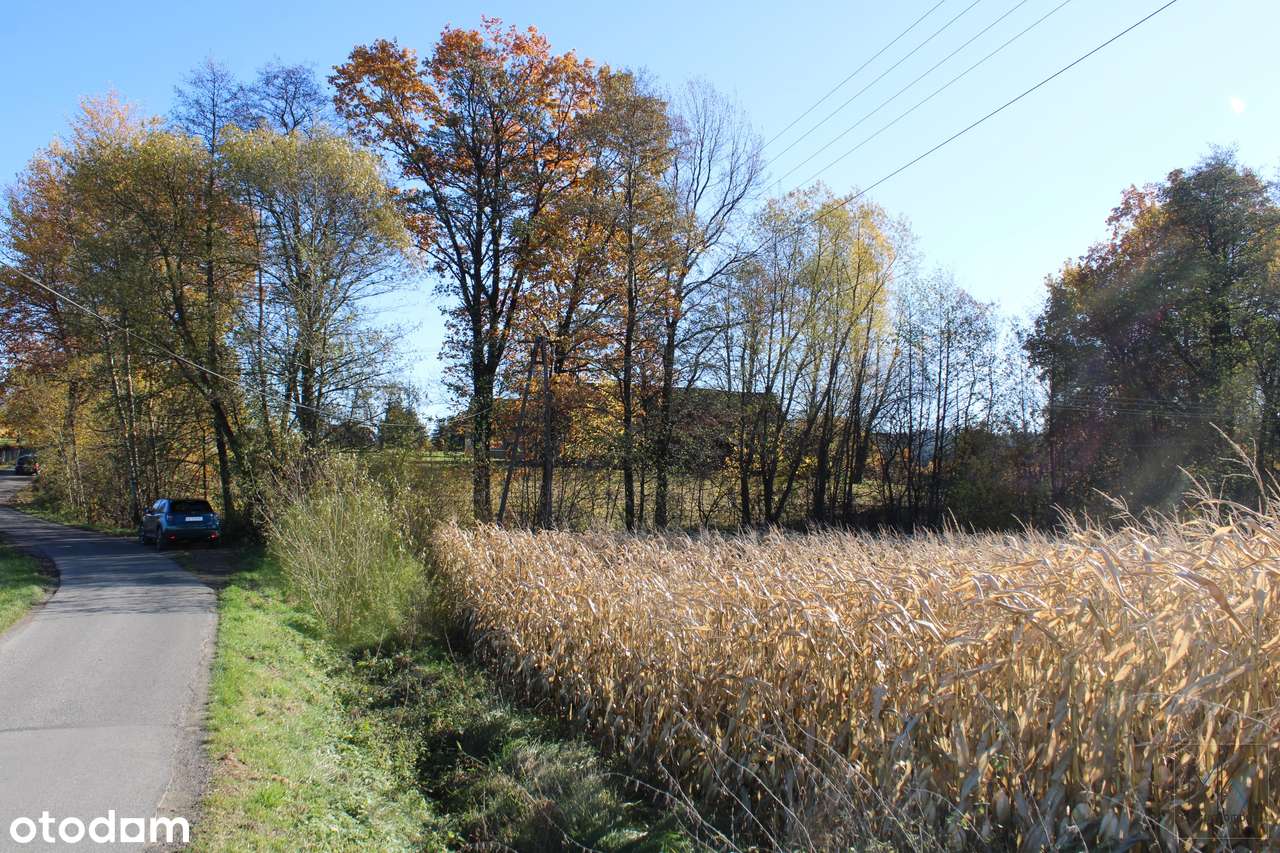 Kierlikówka - działka budowlano-rolna w spokojnej okolicy.-4