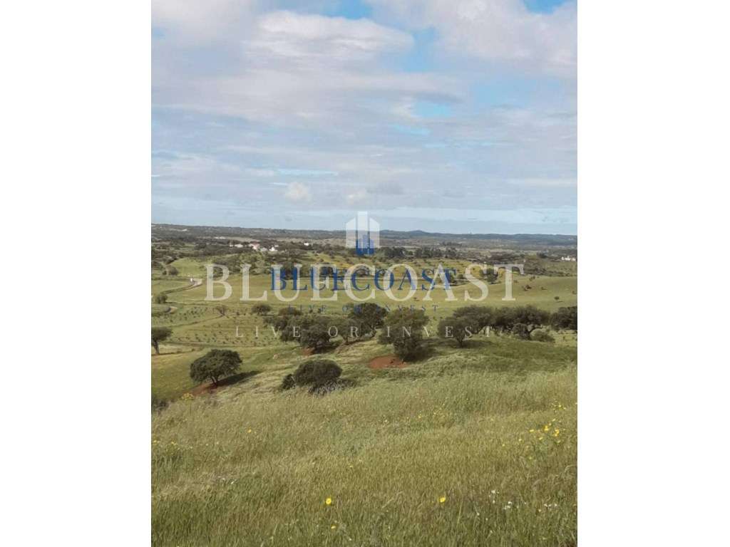 Terreno de 5.675 Hectares com Ruína em Ourique - Grande imagem: 4/8