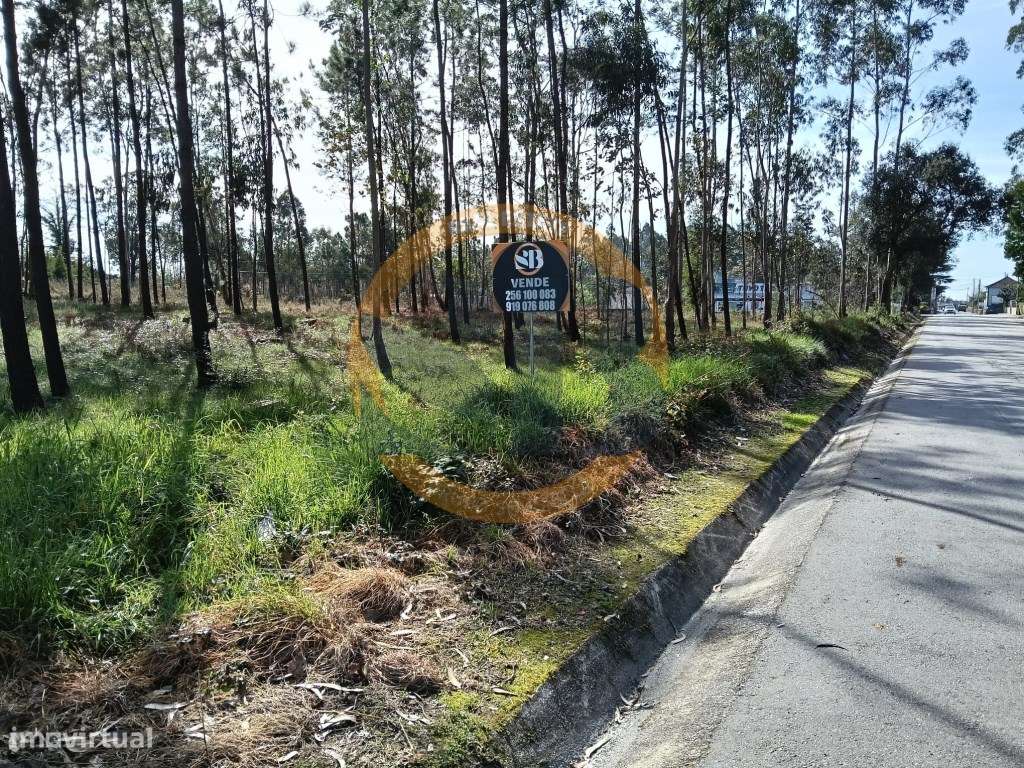 Terreno Santa Maria da Feira - Grande imagem: 5/9