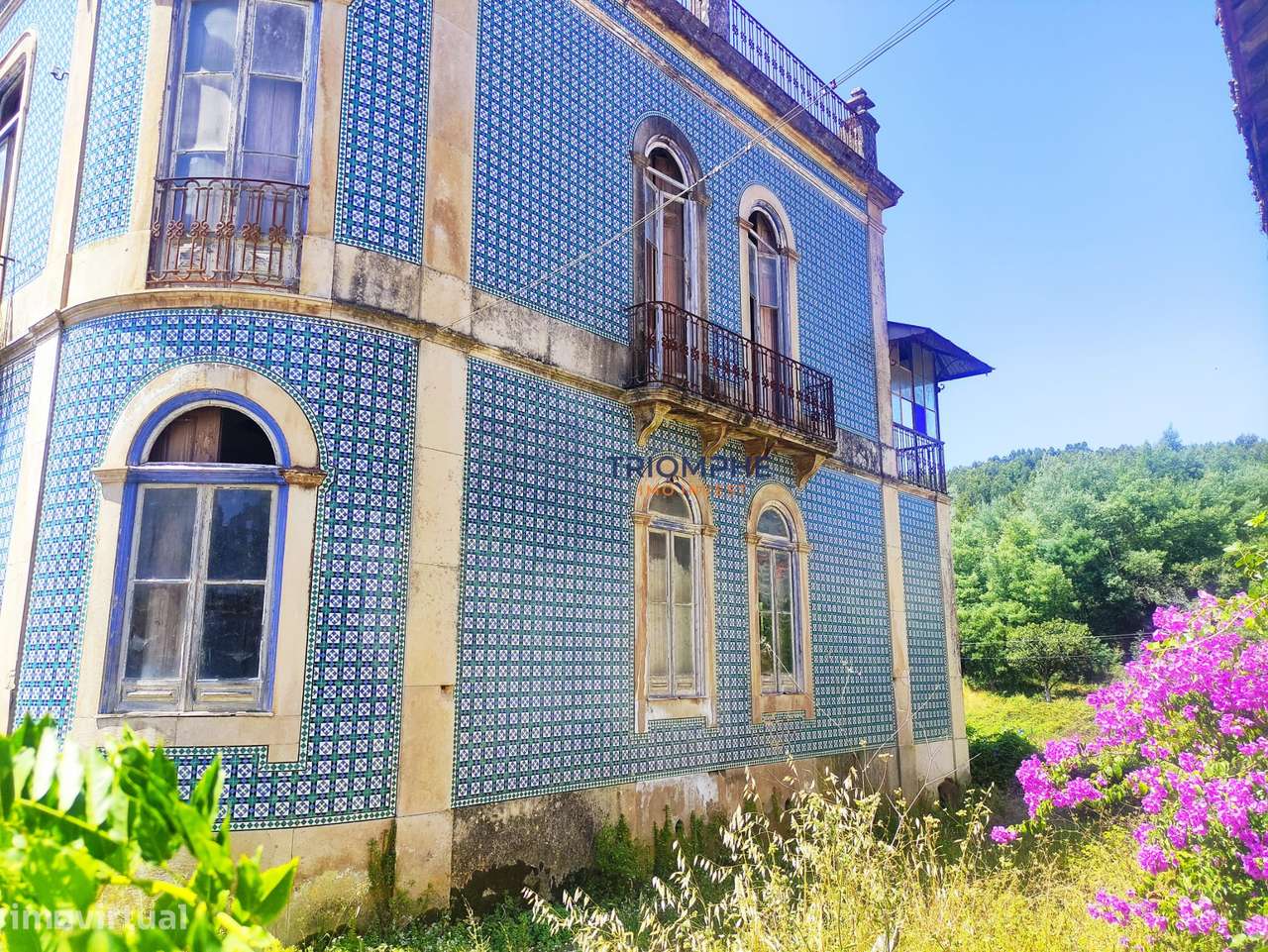 Quinta para Recuperar - Potencial de Investimento - Alvaiázere - Grande imagem: 3/23