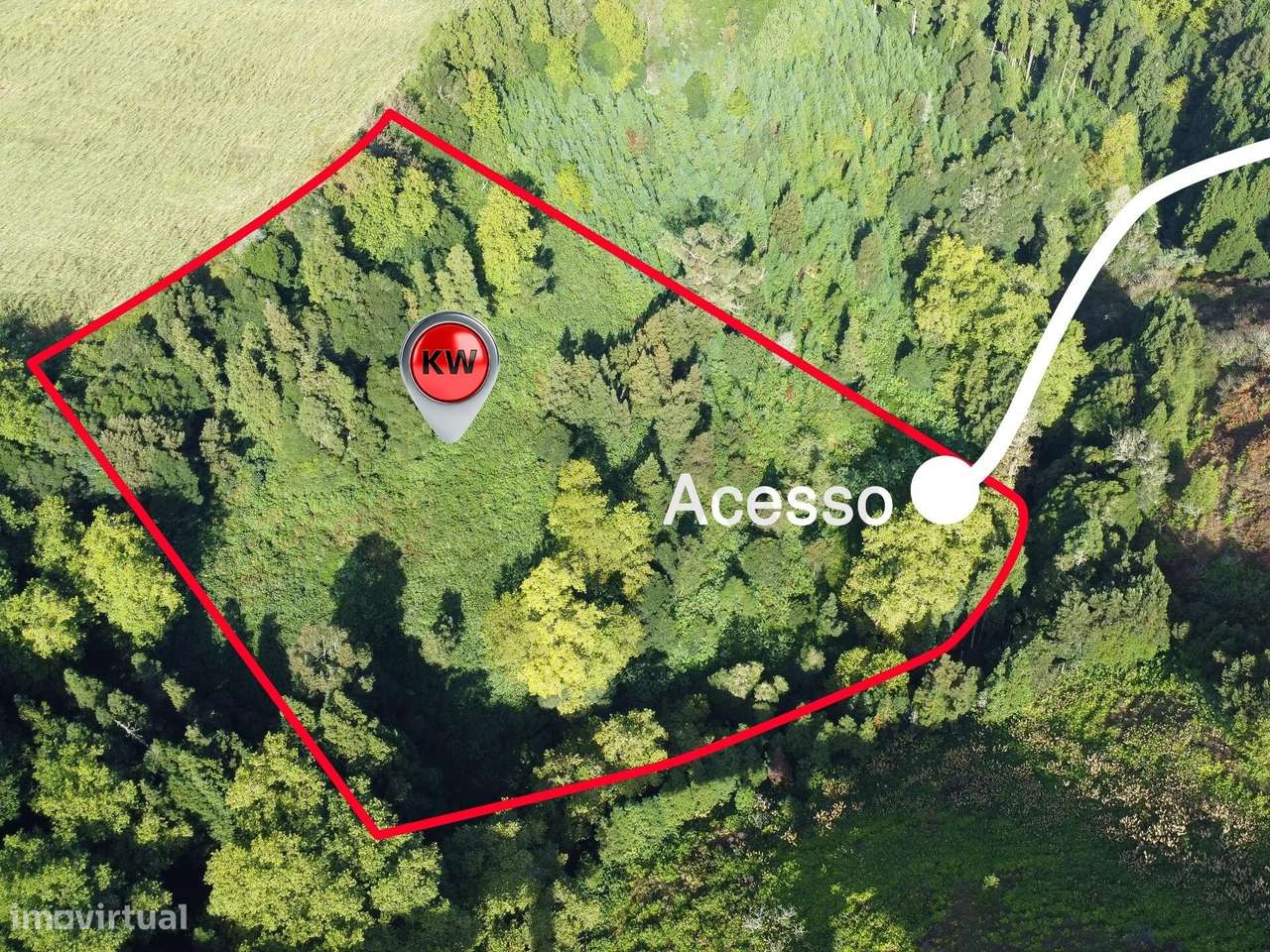 Terreno Rústico em Lomba da Maia - Grande imagem: 3/9