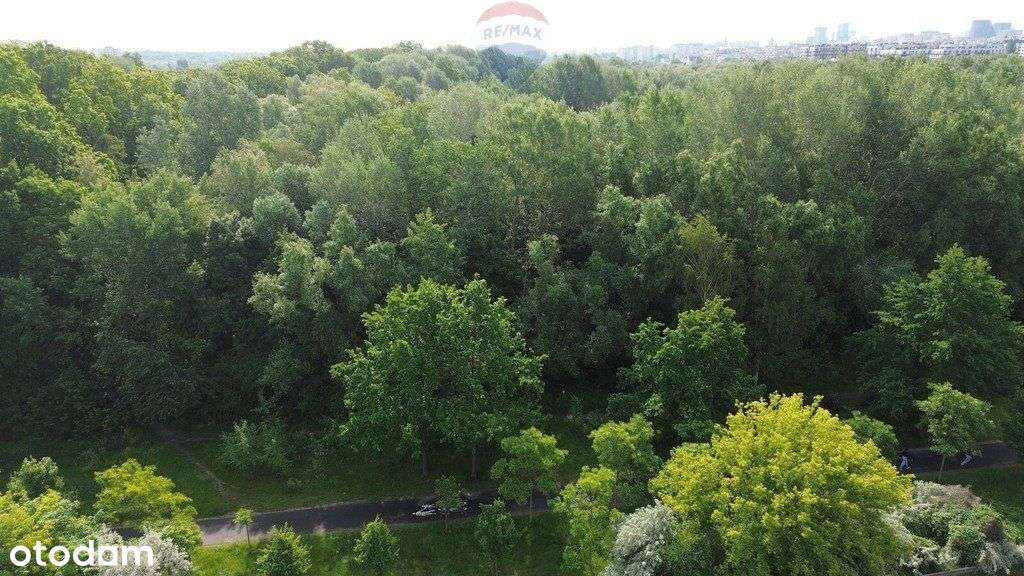 Na sprzedaż działka budowlana na Sołaczu - Pełny obrazek: 2/3