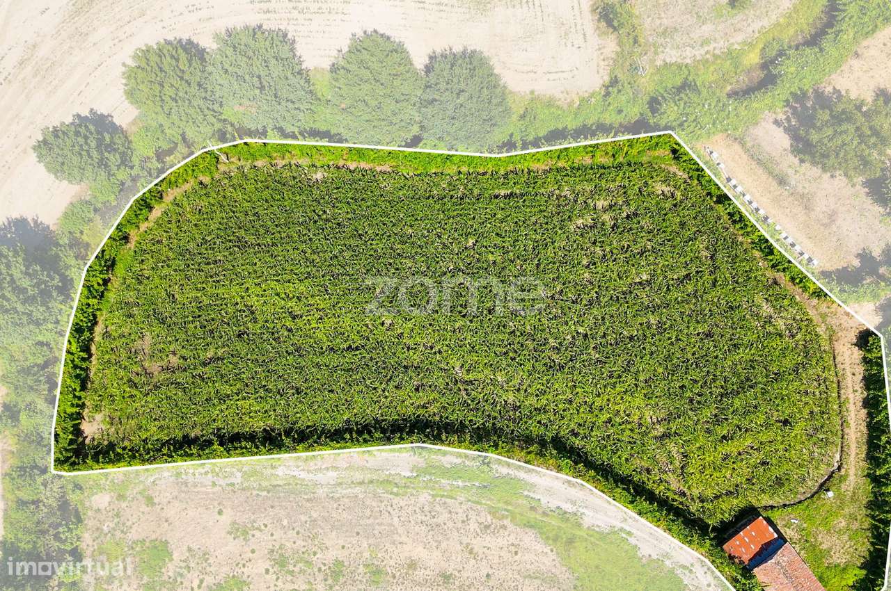 Terreno, 2 386 m², São Gens-15