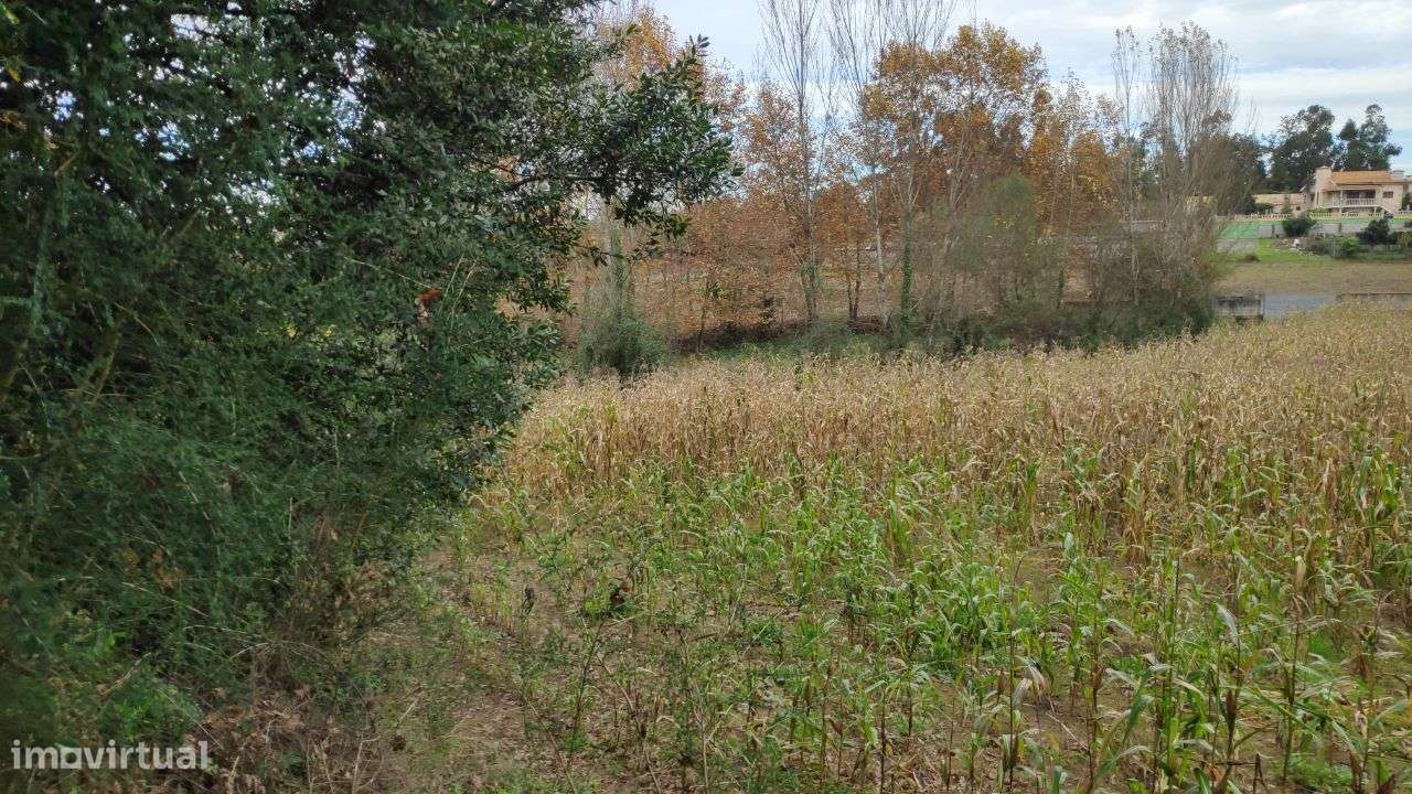 Terreno em Rendufe, Amares - Grande imagem: 2/12