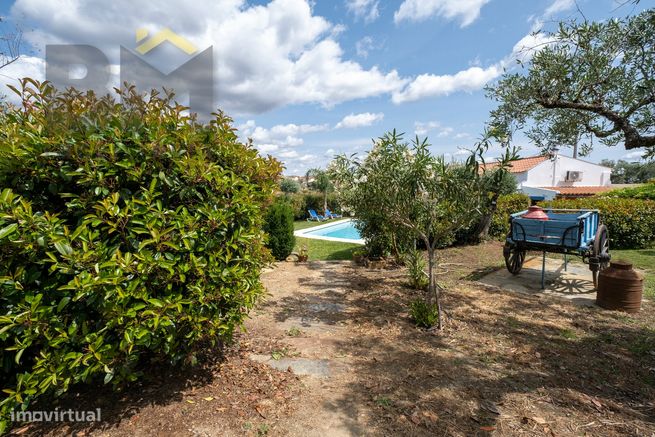 Moradia Isolada T3 Venda em Benquerenças,Castelo Branco-28