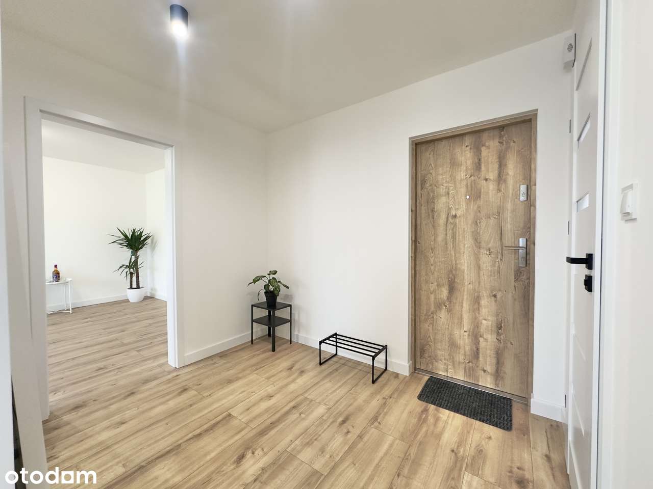 Nowa oferta! Centrum, 2 pokoje po kapitalnym remoncie!-8
