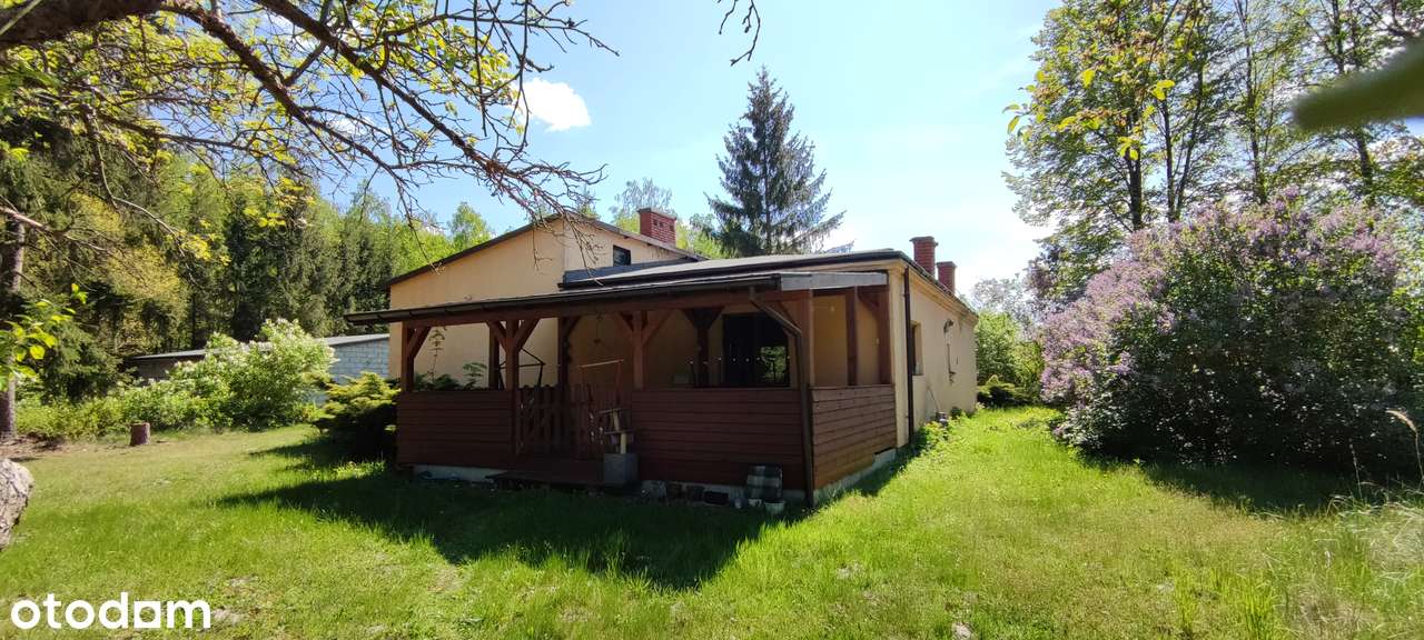 Duża działka z domem_szybki dojazd do W-wy/Łodzi - Pełny obrazek: 5/13