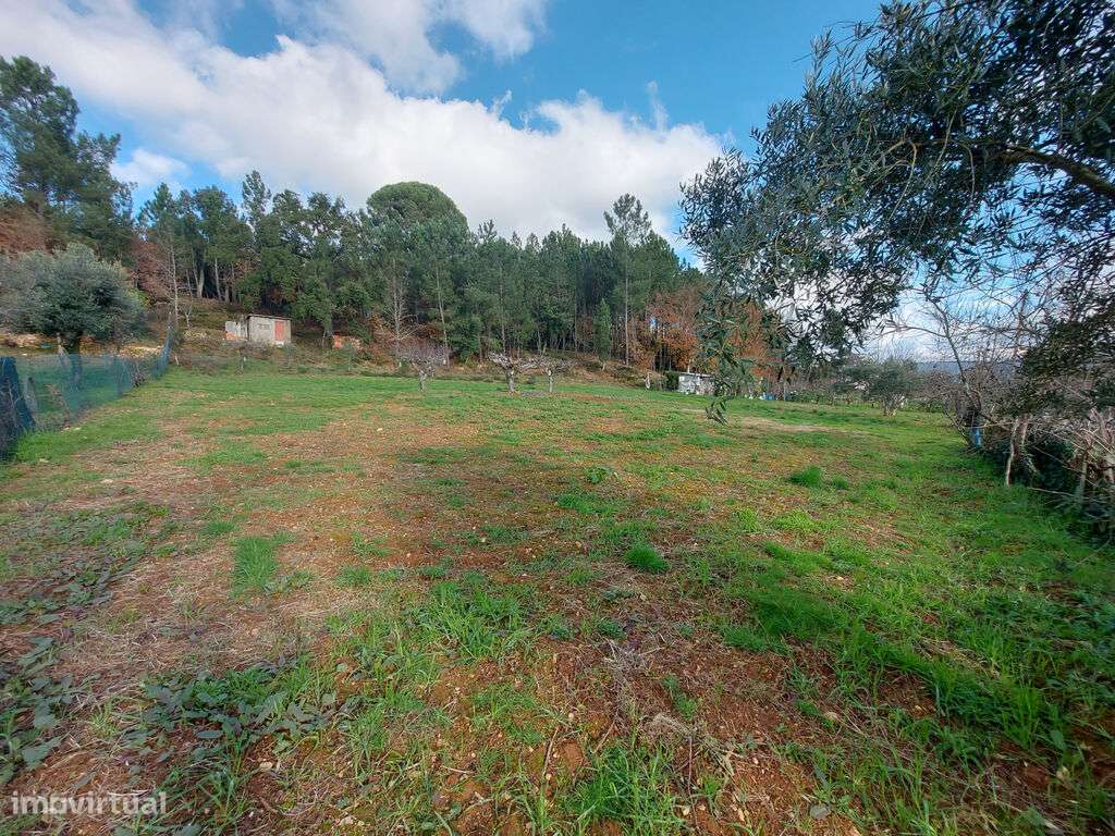 Terreno em Côja para construção - Grande imagem: 4/7