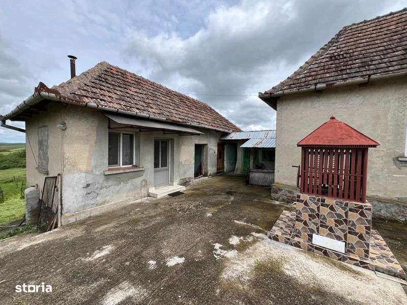 Vand casa in Tasad cu teren de 5793mp la asfalt, front stradal de 30m - Imagine principală: 5/8