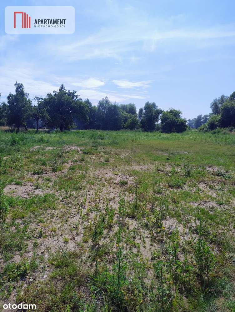 Działki na sprzedaż – spokój, zieleń, Bałtyk - Pełny obrazek: 4/6