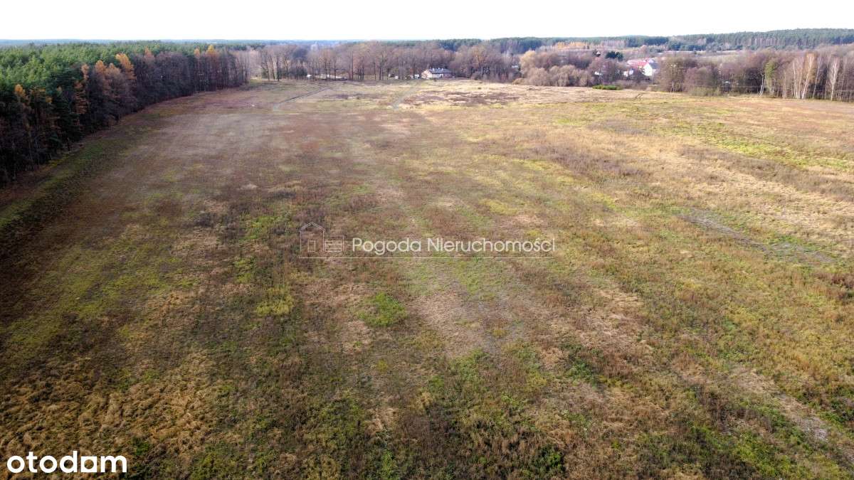 Działki na sprzedaż - Trzebule-8