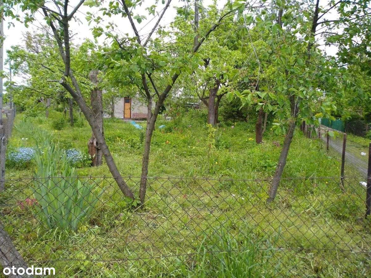 Działka Rod im. T. Kościuszki - Pełny obrazek: 3/4