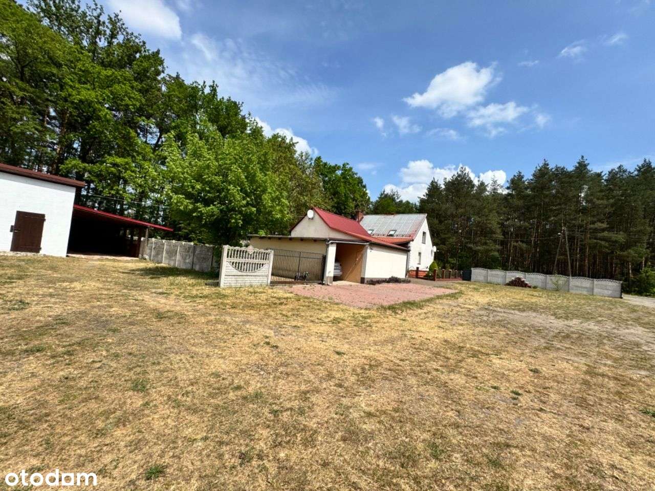 Dom z dużą działką w m. Brody - Pełny obrazek: 4/7