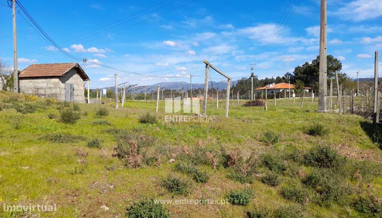 Venda Terreno, Salvador do Monte, Amarante - Grande imagem: 5/41