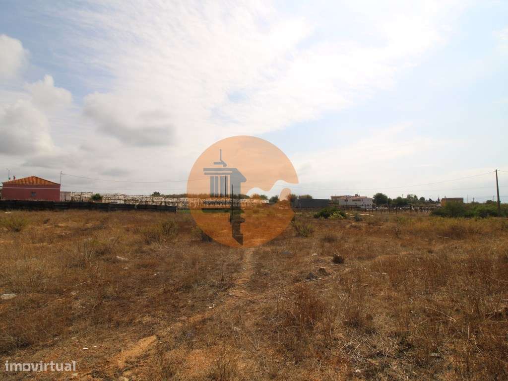 Terreno Misto - Grande imagem: 4/15