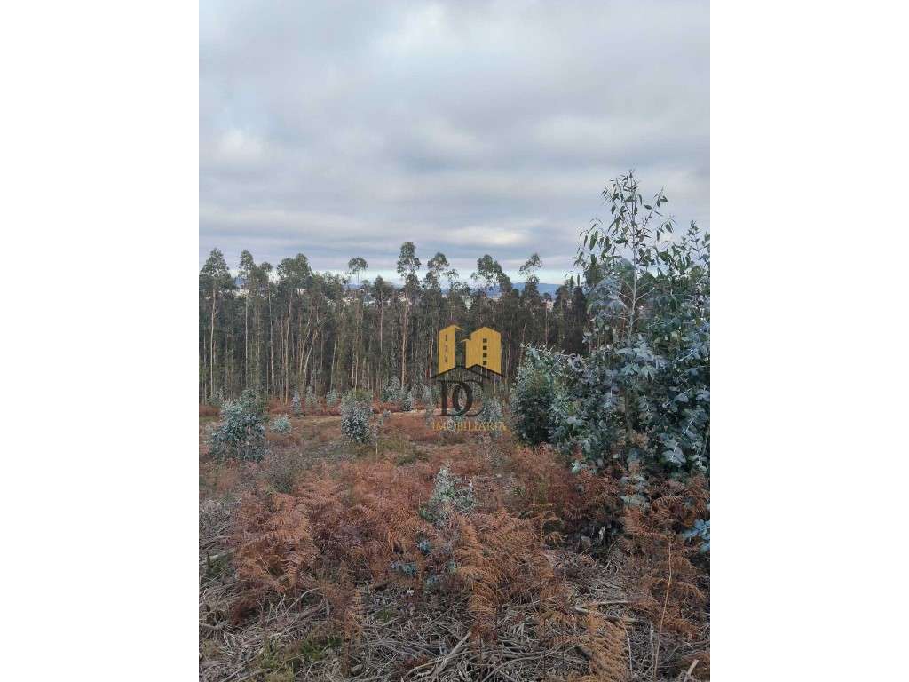 Terreno florestal em Rates-9