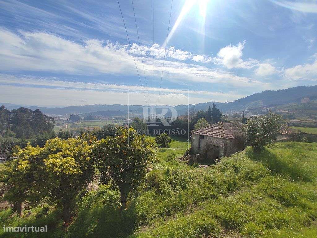 Quinta com 15000m2 em Santo Tirso-21