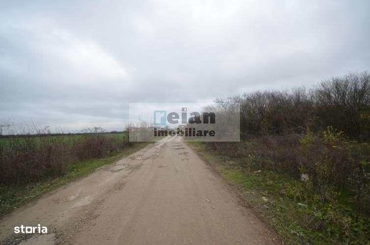 Mogosoia - Nichita Stanescu, Teren 3000mp, Deschidere 44ml, Utilitati-5