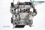 Motor Citroen C3|09-13 - 5