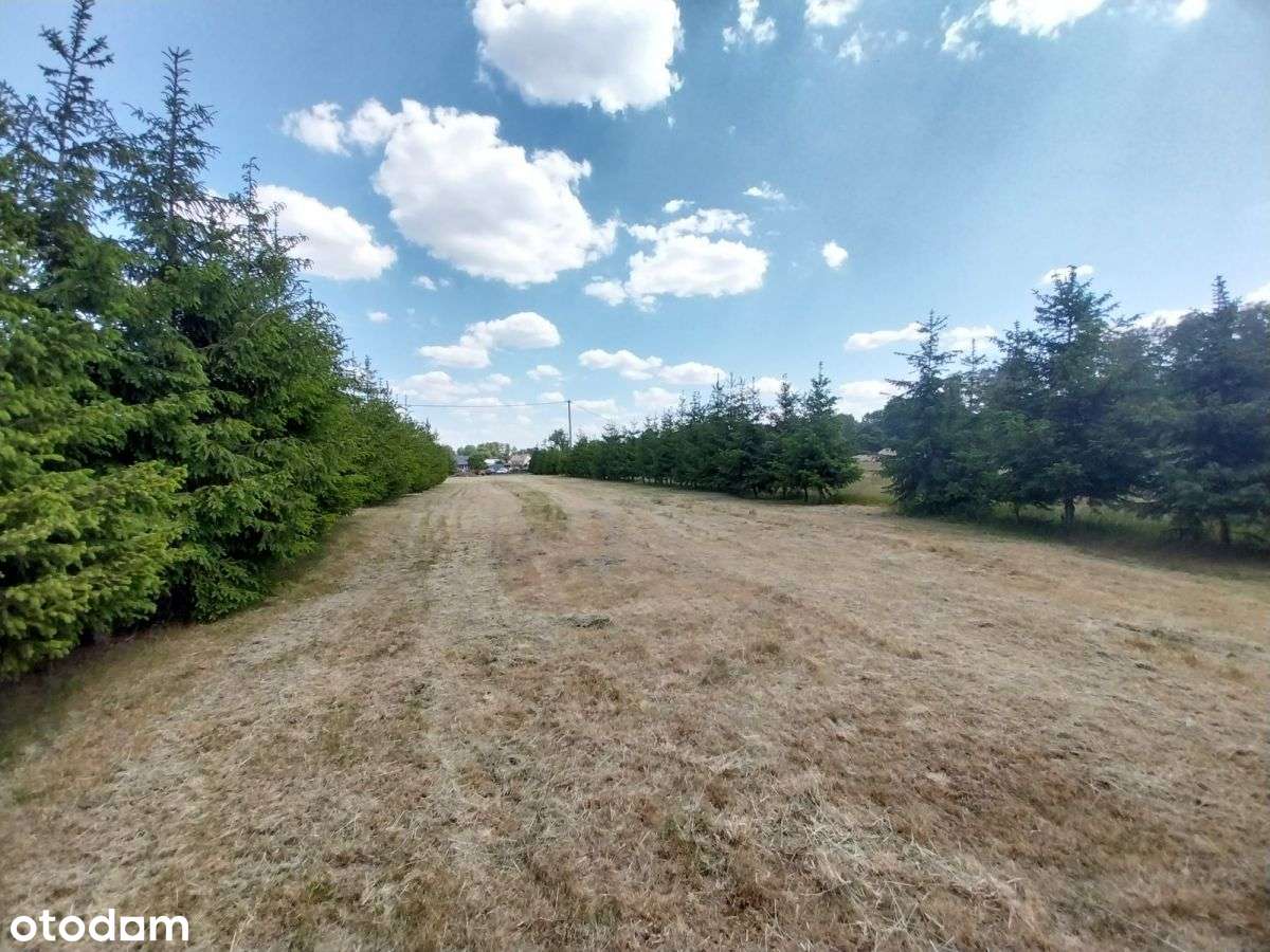 Działka budowlana Dobry Las nad rzeką  Łomża 24 km - Pełny obrazek: 5/7