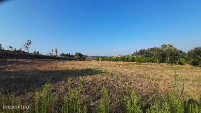 Terreno com 12.000 m² - Grande imagem: 4/7