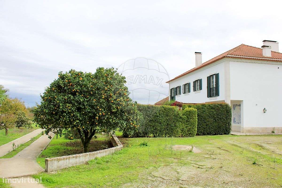 Quinta T5 para venda - Grande imagem: 5/30