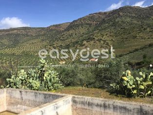 Magnifico terreno agrícola com 223604 m2 junto o Rio Douro. - Grande imagem: 4/17