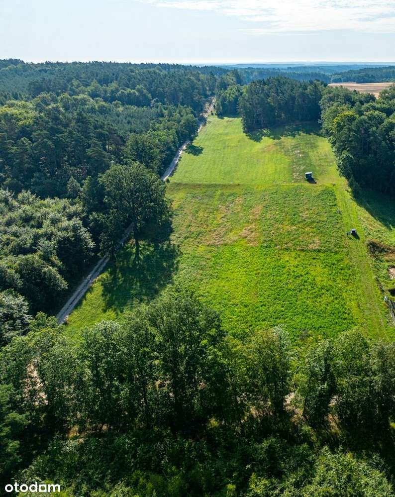 Łagówek działka przy lesie z wydanymi wz - Pełny obrazek: 5/11