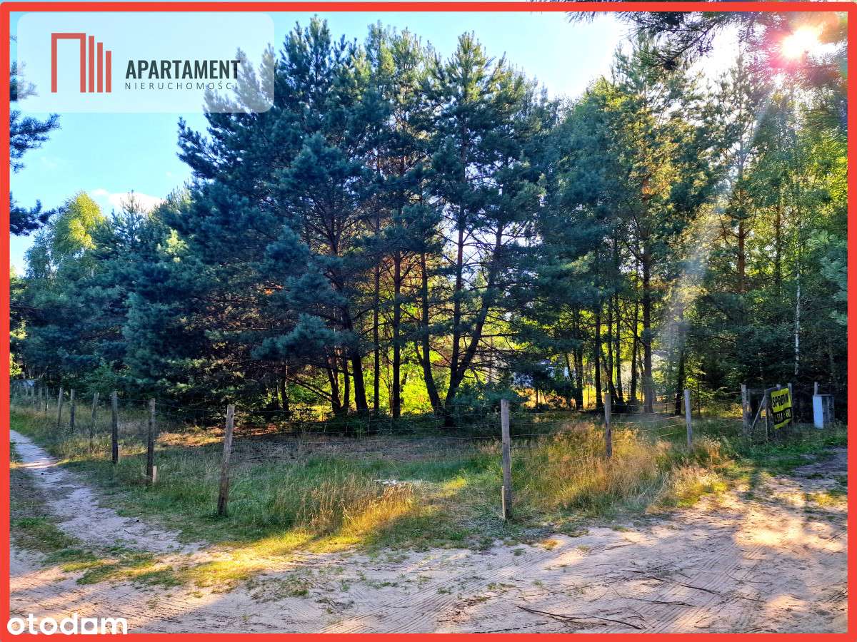 Jeszcze niższa cena!Działka mieszkaniowa w Tleniu! - Pełny obrazek: 2/9