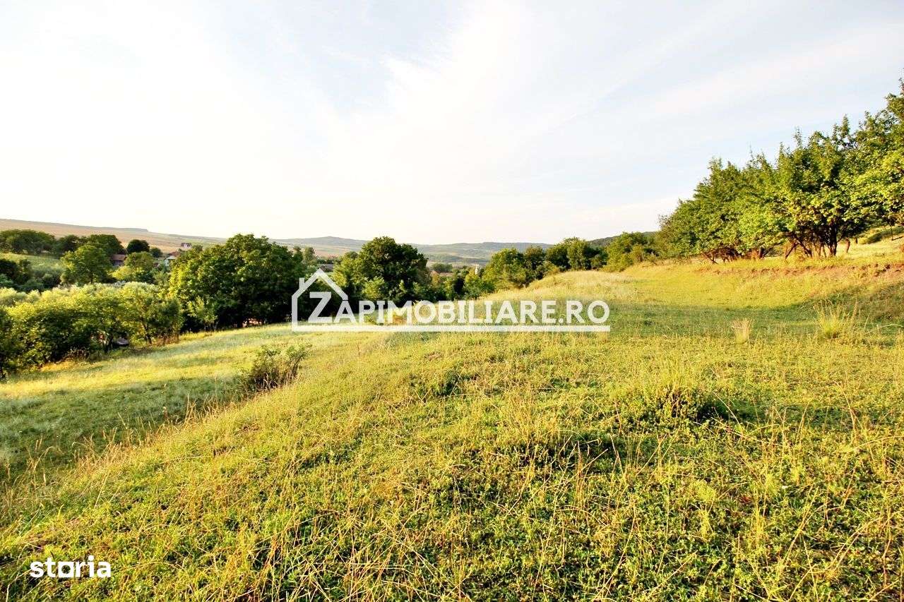 Teren Intravilan,5.000mp cu utilităti si proiect casă 12e mp - Imagine principală: 4/9