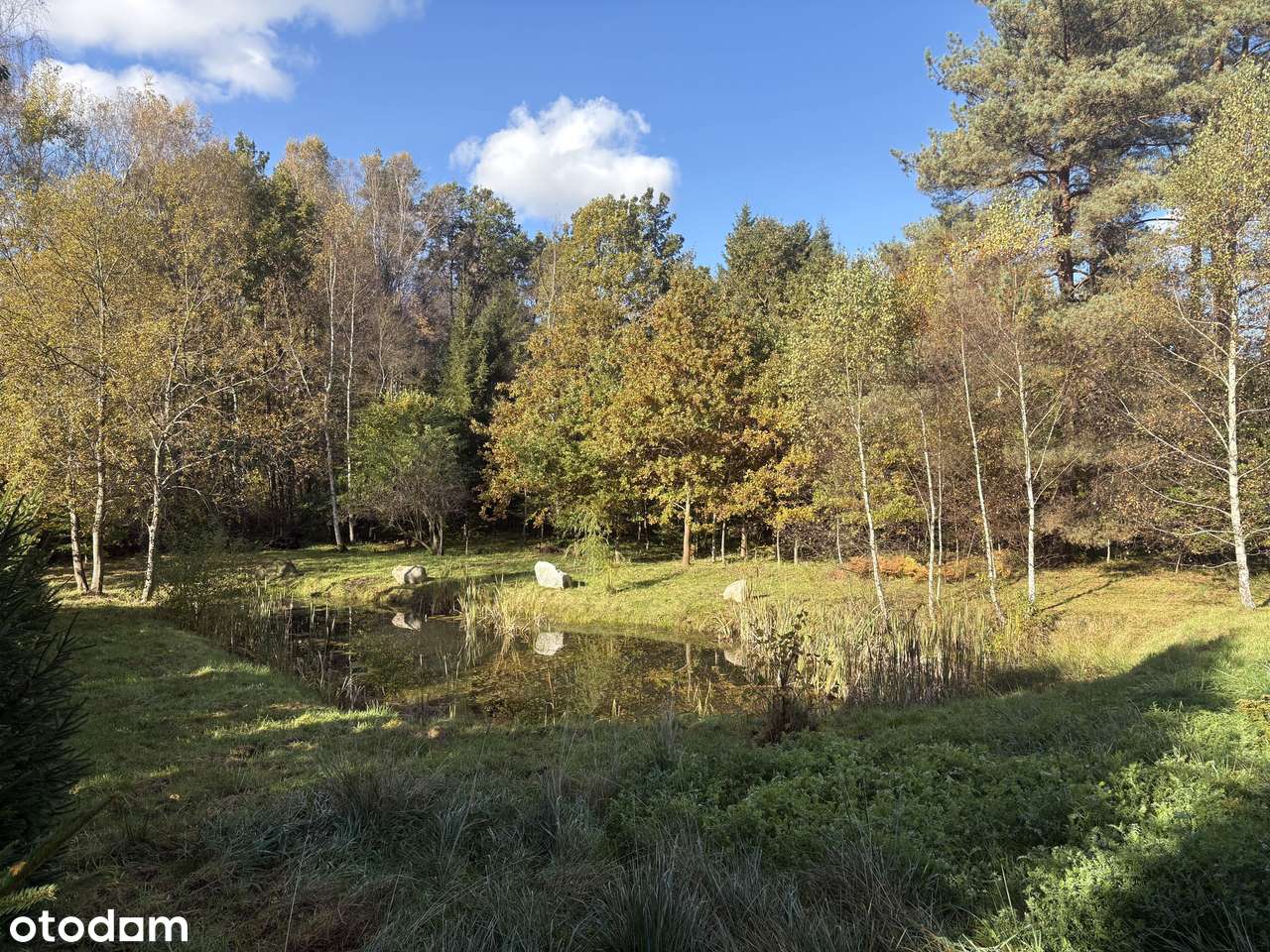 Atrakcyjna działka budowlana 0,4ha w Otominie - Pełny obrazek: 4/8