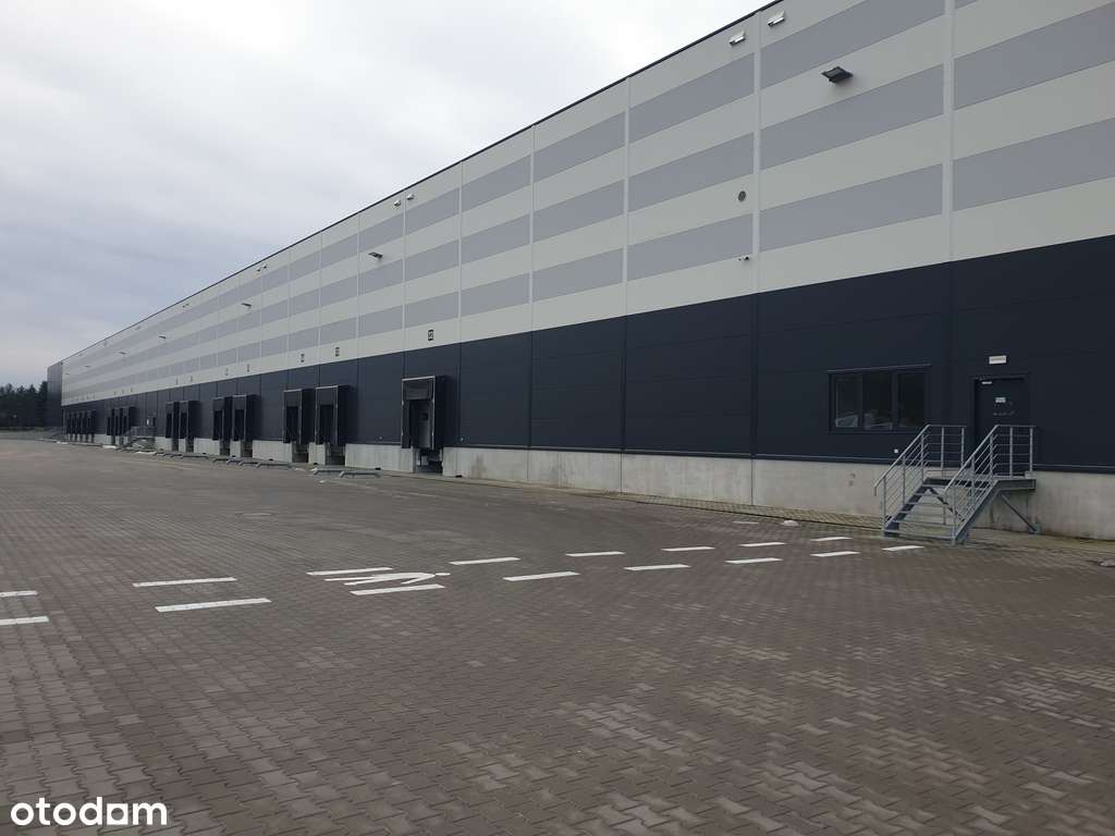Podnajem magazynu, 9600 m2, Góra Kalwaria - Pełny obrazek: 4/4