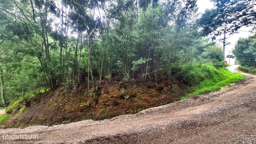 Terreno para construção em zona das Torres de Mondego - Grande imagem: 4/4