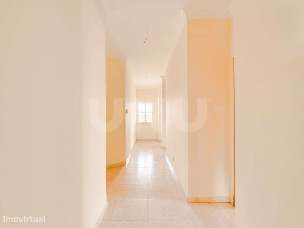 Quinta com 4,8 hectares e casa T9 em Vila Nova da Baronia-39