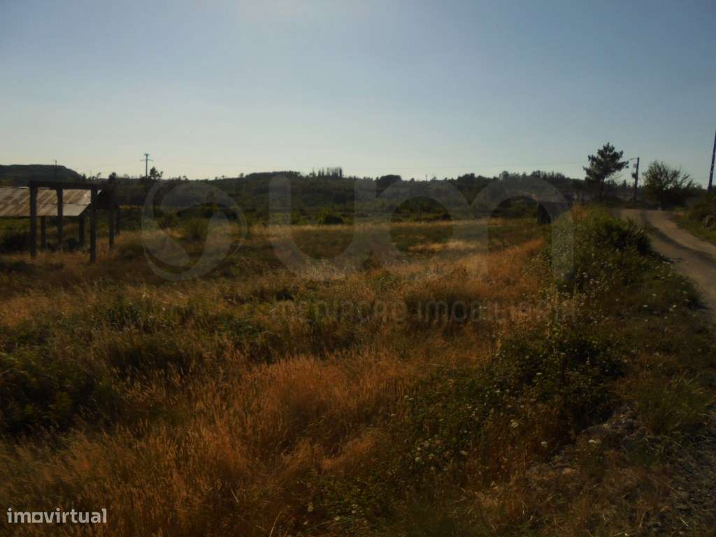 Armazém e Terreno em Mangualde - Grande imagem: 5/7