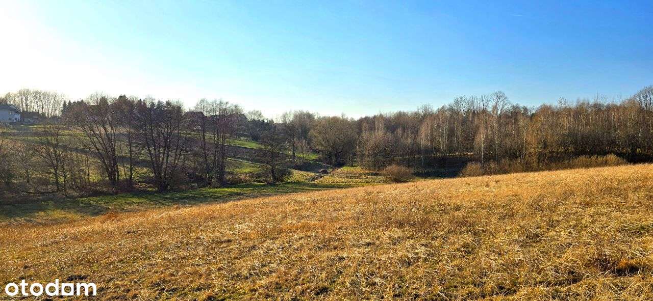 Działka widokowa w Przytkowicach-5