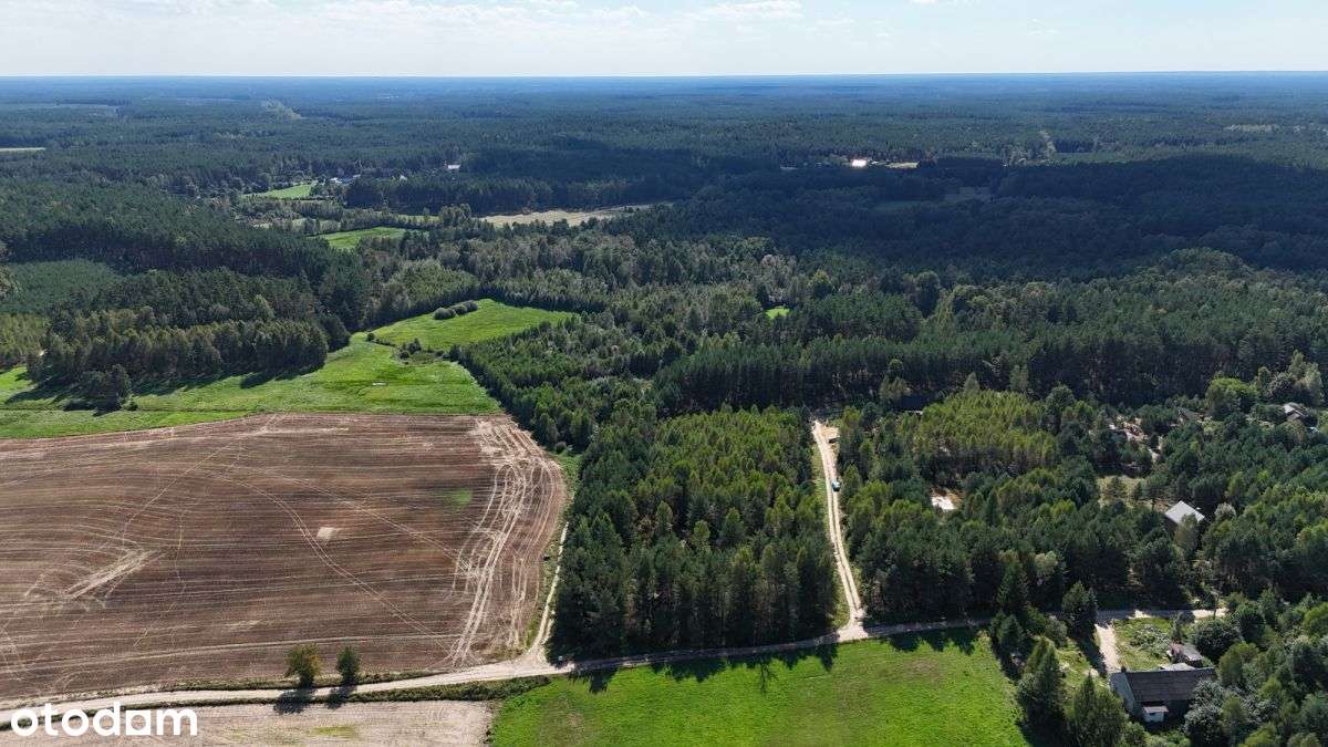 Działka budowlana na skraju lasu, blisko jeziora - Pełny obrazek: 5/9