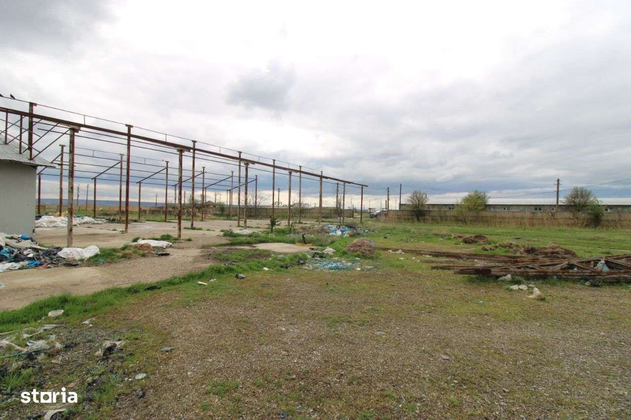 Hala in Foltesti - Imagine principală: 5/6