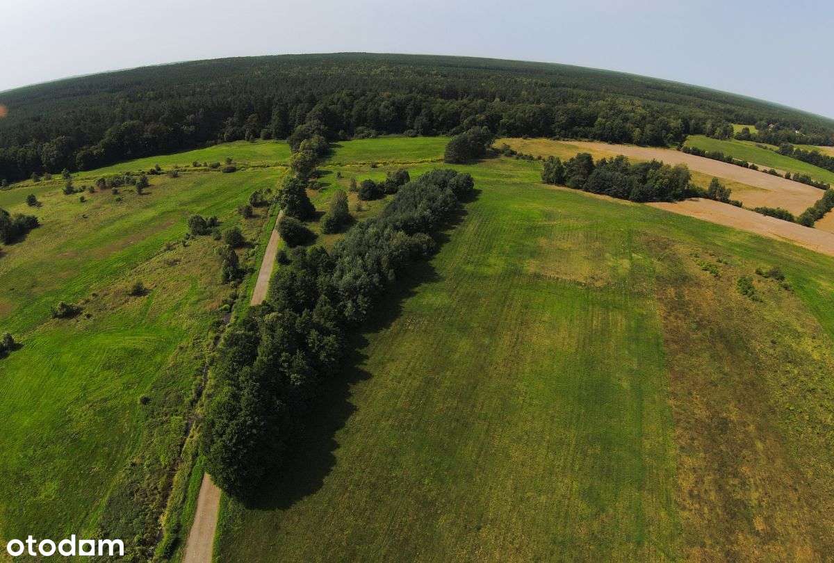 Działka rolna blisko rzeki - Pełny obrazek: 5/5