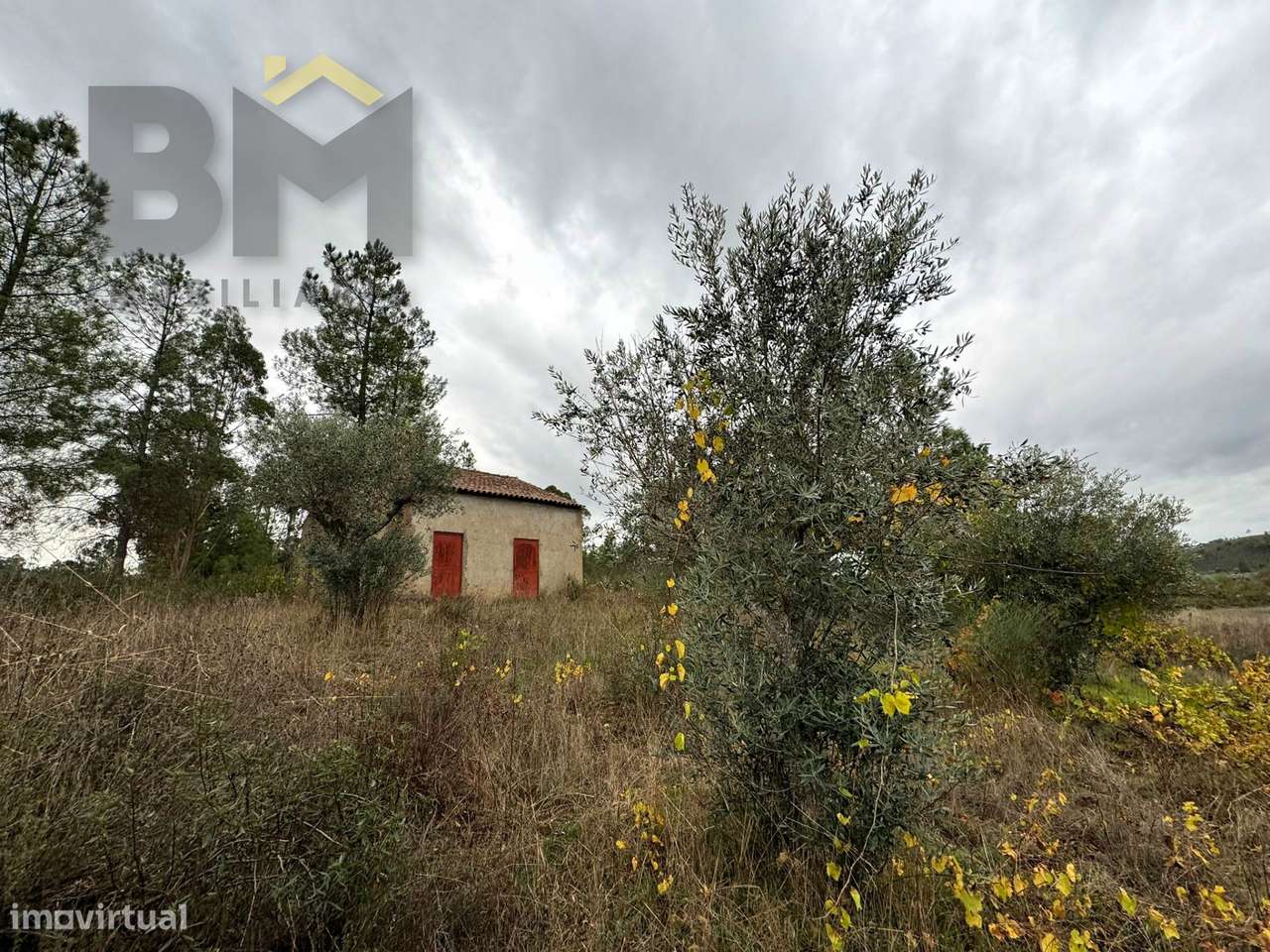 Quinta  Venda em Freixial e Juncal do Campo,Castelo Branco - Grande imagem: 4/21