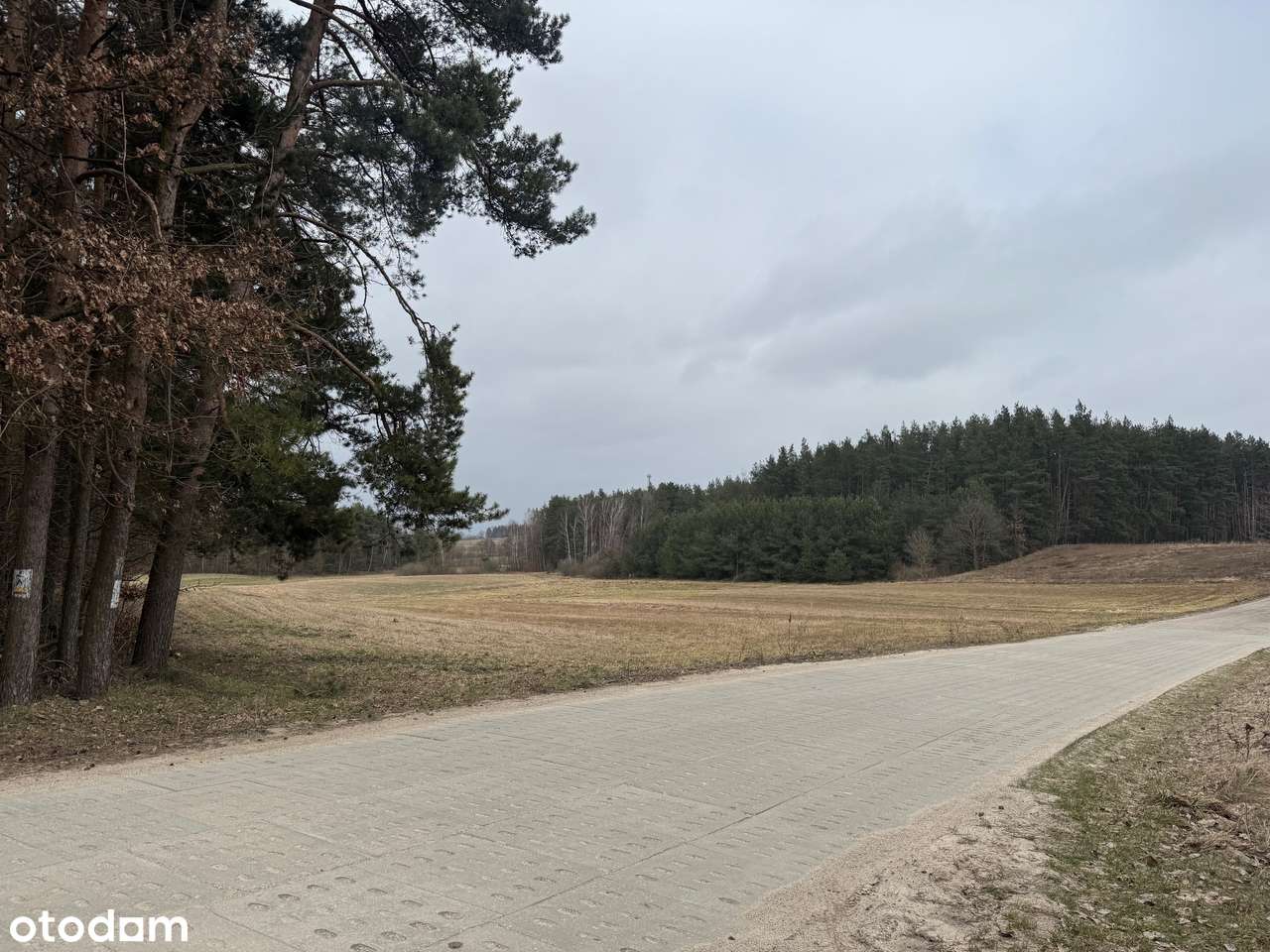 WYJĄTKOWA DZIAŁKA POMIECZYNO PRZODKOWO PONAD 3000m2-4