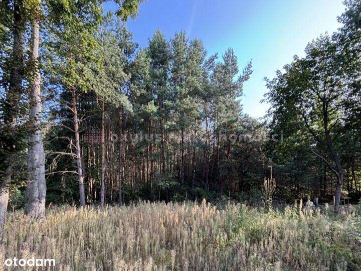 Działki w Anielinie – 14 ha z potencjałem-7