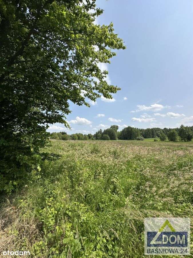 Działki  w Dolinie Ciemięgi  143 zł/m2 - Pełny obrazek: 3/6