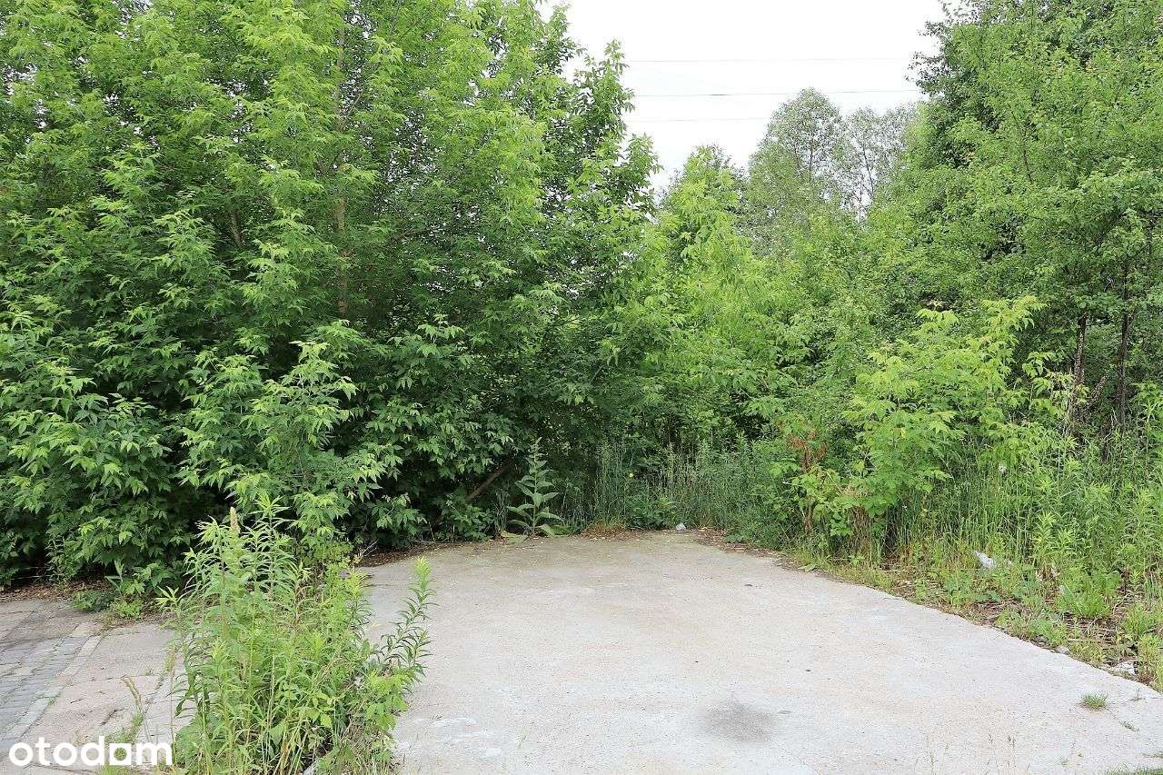 Działka budowlana Siedlce, ul. Sosnowa - Pełny obrazek: 4/6